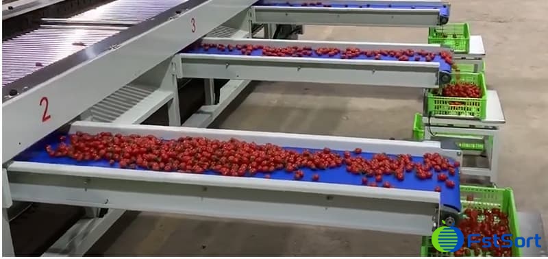 images/1650613109036packing system.jpg